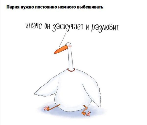 Гусь комикс
