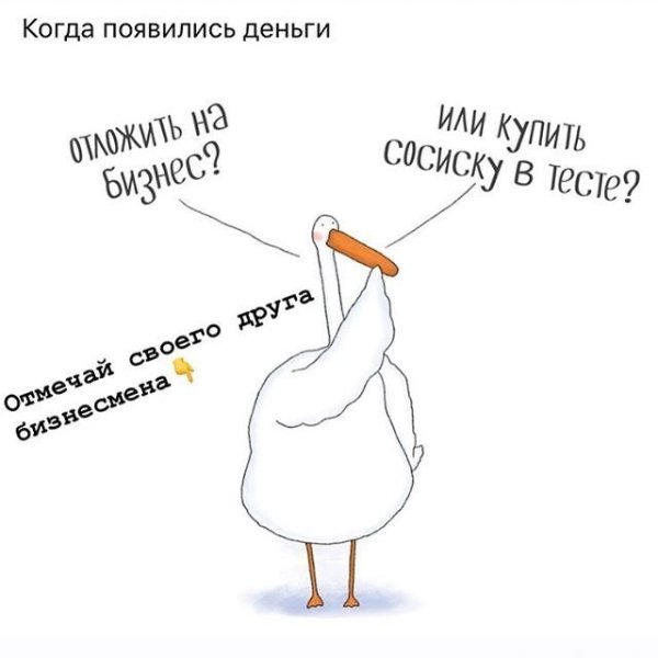 Приколы с гусем