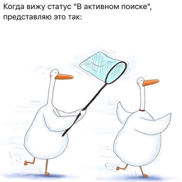 Шутки про гуся