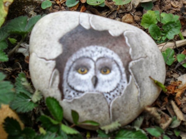 Разрисовать камни на даче