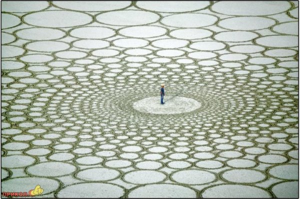 Джим Деневан Лэнд арт