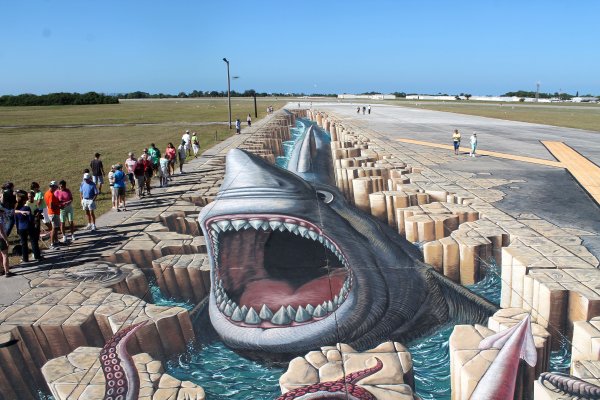 Акула на асфальте