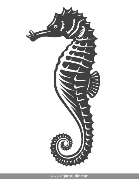 Рисунок для выжигания морские коньки