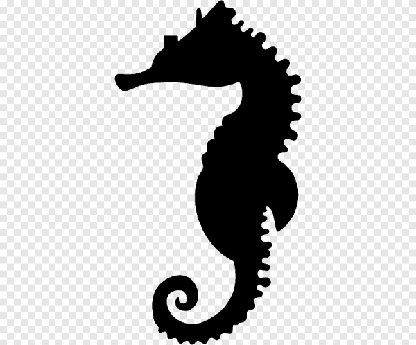 Морской конек раскраска для детей