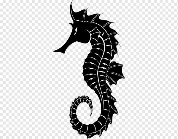 Морской конек