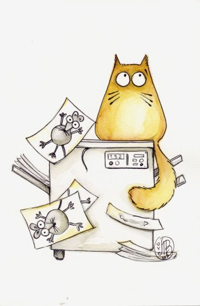 Марии Ван Брюгген