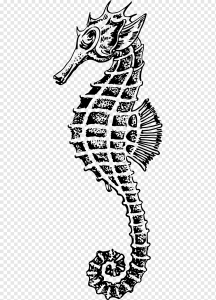 Морской конек эскиз