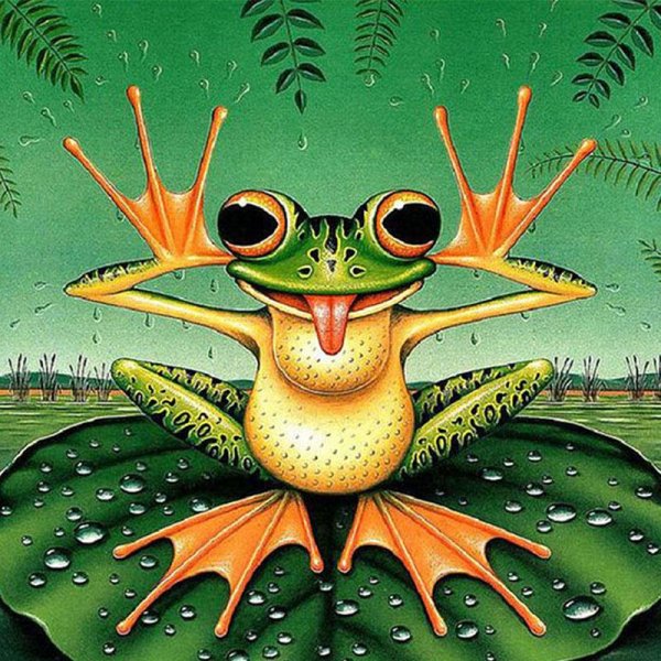 Лягушка сюрреализм