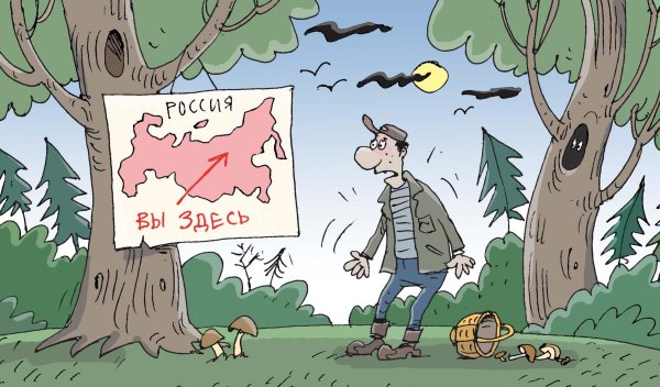 Заблудился в лесу юмор