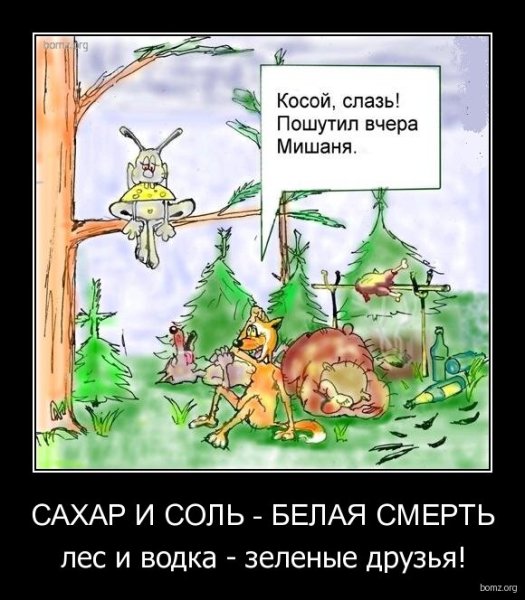 Анекдоты про лес