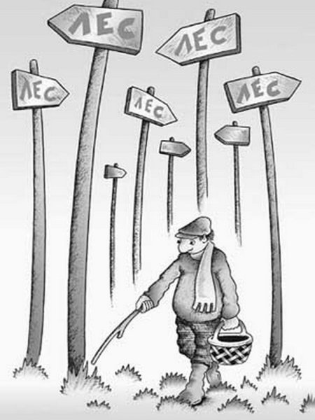 Карикатуры про лес