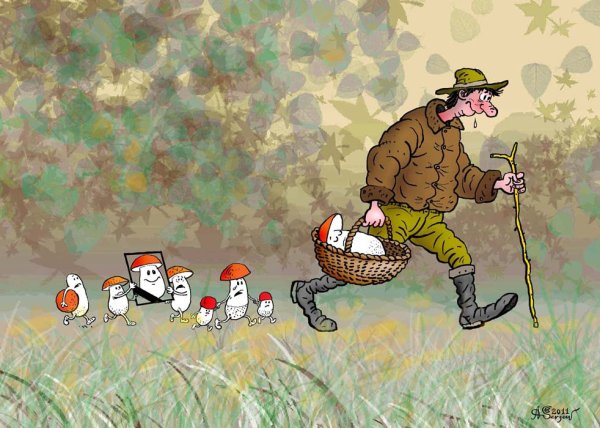 Грибник карикатура