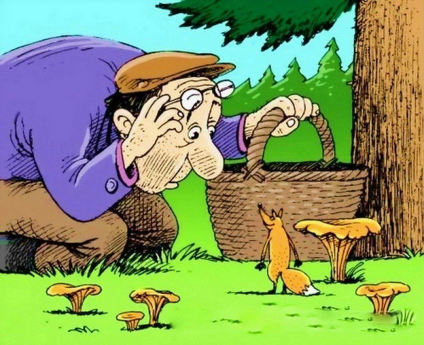 Приколы про грибников