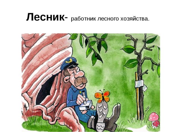 Лесник рисунок