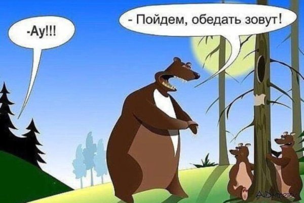 Шутки про мишку