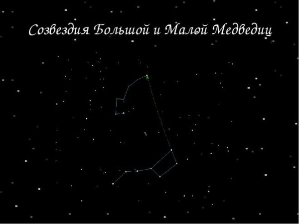 Созвездие большой и малой медведицы