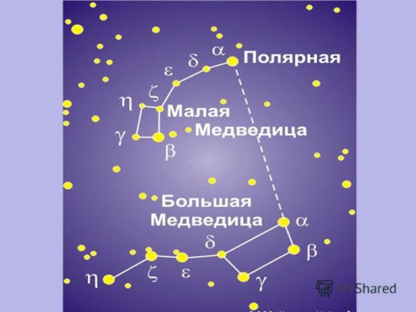 Большая и малая Медведица Созвездие