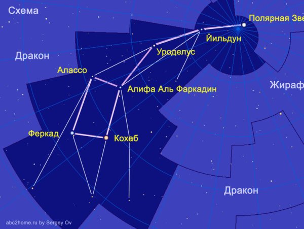 Малая Медведица название звезд