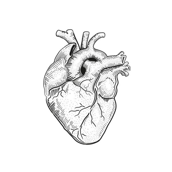 Сердце рисунок