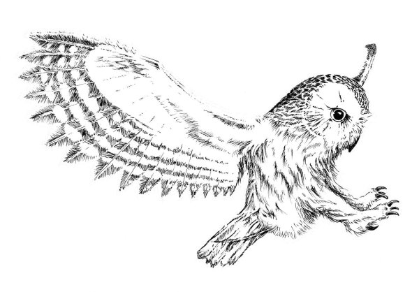 Букля из Гарри Поттера эскиз