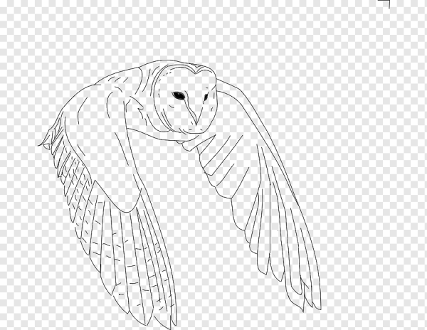 Белый Филин