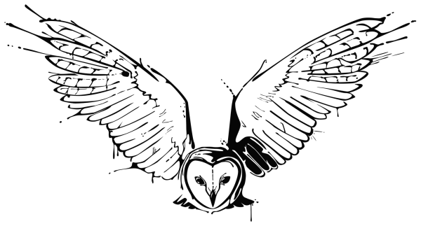 Сипуха Гарри Поттер