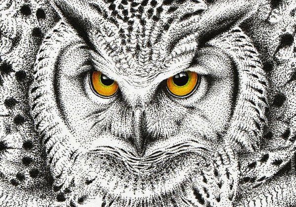 Раскраска Гарри Поттер Букляя