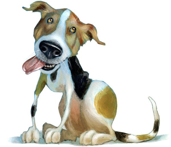 Собака иллюстрация