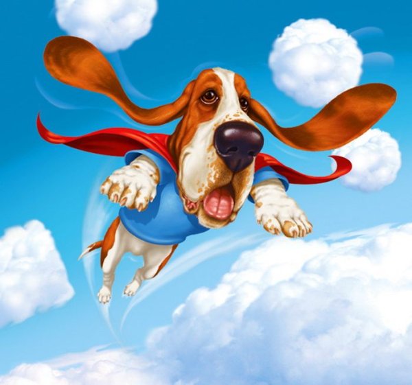 Бассет хаунд