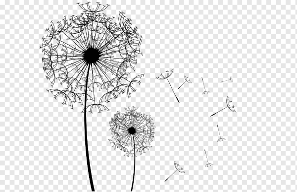 Одуванчик вектор черно белый