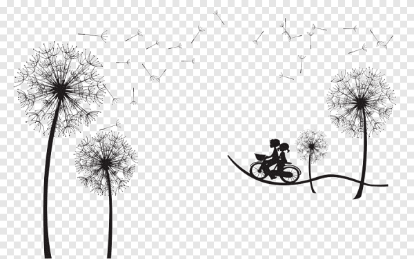 Одуванчик черно белый