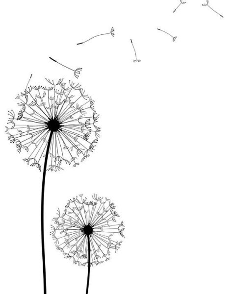 Трафарет одуванчика на стену