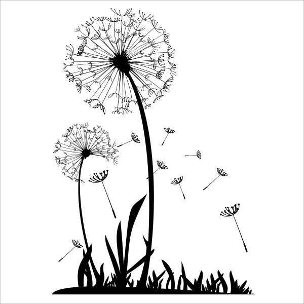 Одуванчик черно белый