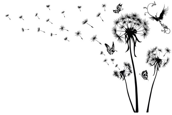 Одуванчик рисунок