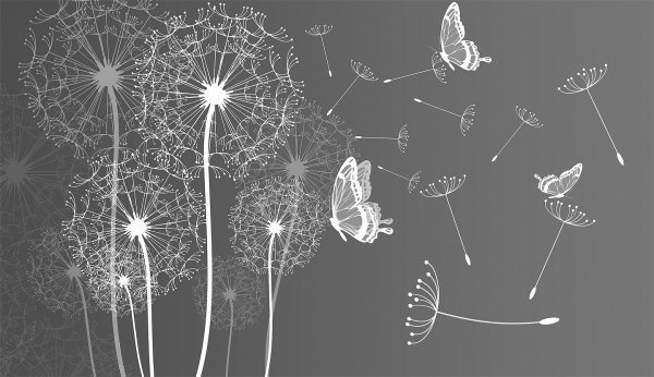 Фотообои одуванчик