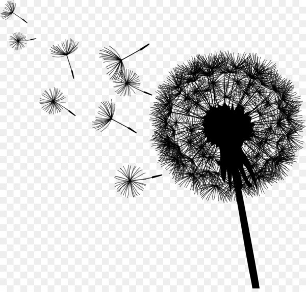 Черный силуэт одуванчика