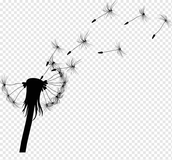 Одуванчик силуэт