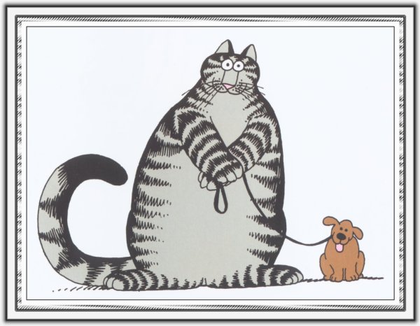 Maria van Bruggen смешные коты