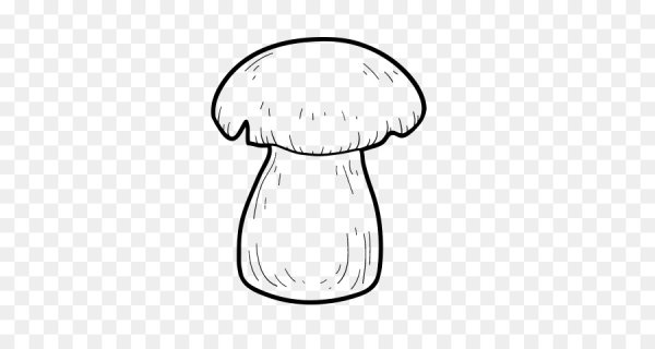 Боровик раскраска