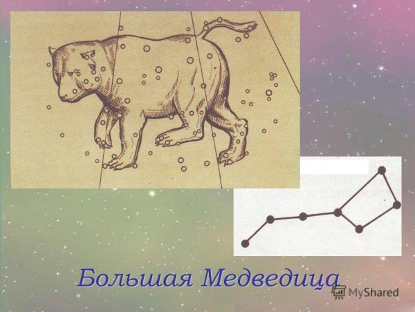 Большая Медведица окружающий мир