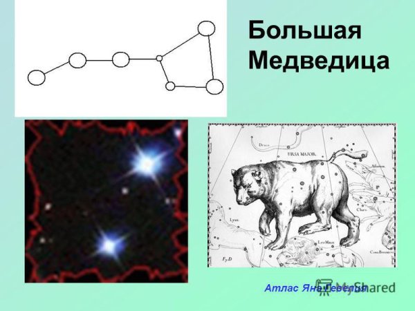 Большая Медведица атлас Яна Гевелия