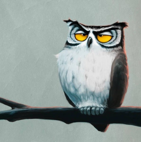 Совы мультяшные прикольные