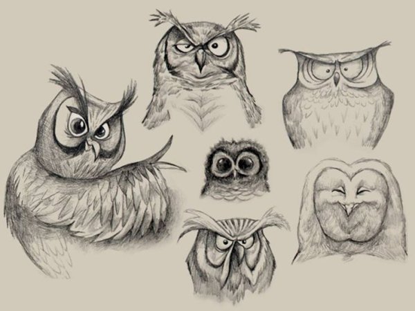 Наброски совят