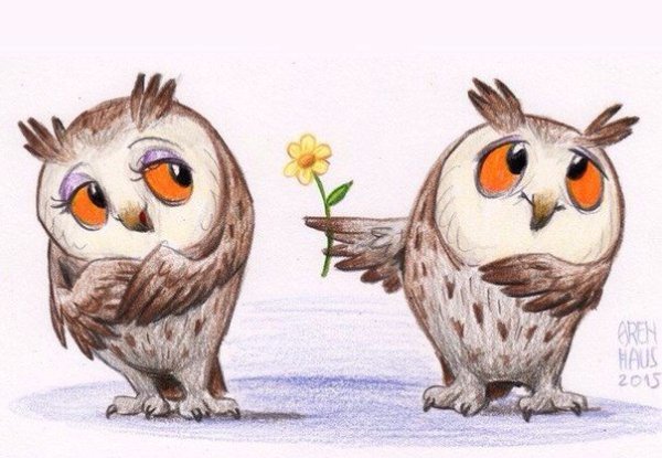 Прикольная Сова рисунок
