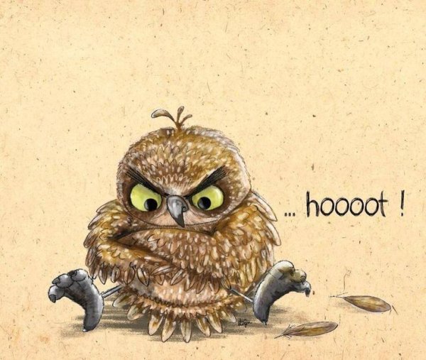 Смешная Сова иллюстрации