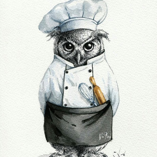 Сова в поварском колпаке