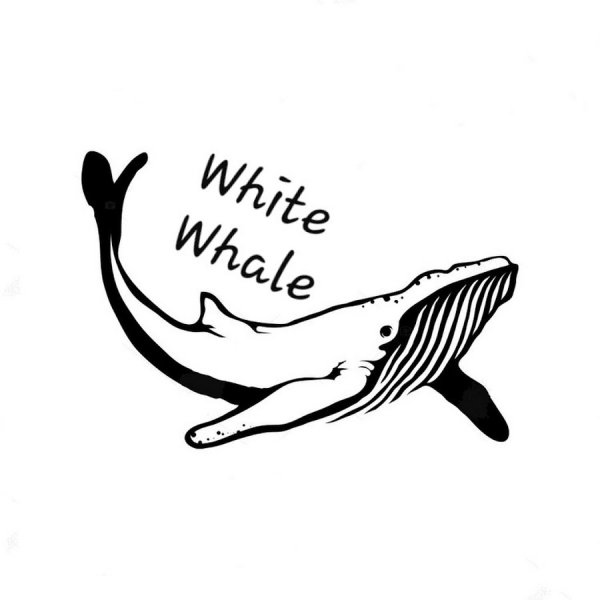 Кит на белом фоне черно белый