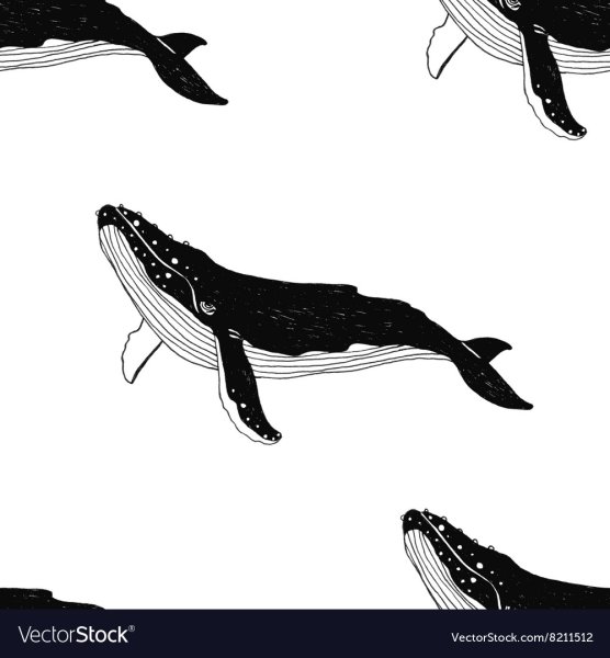 Кит в векторной графике