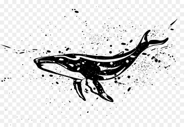 Векторное изображение кита