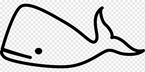 Кит раскраска для детей